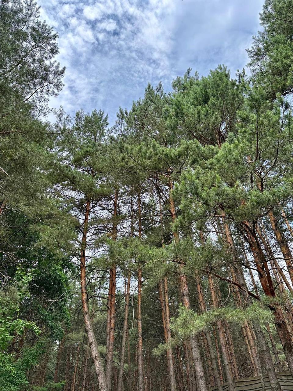 Secret Resort Club Pereyaslav-Khmelʼnytsʼkyy Kültér fotó